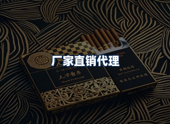 专业团队办公环境